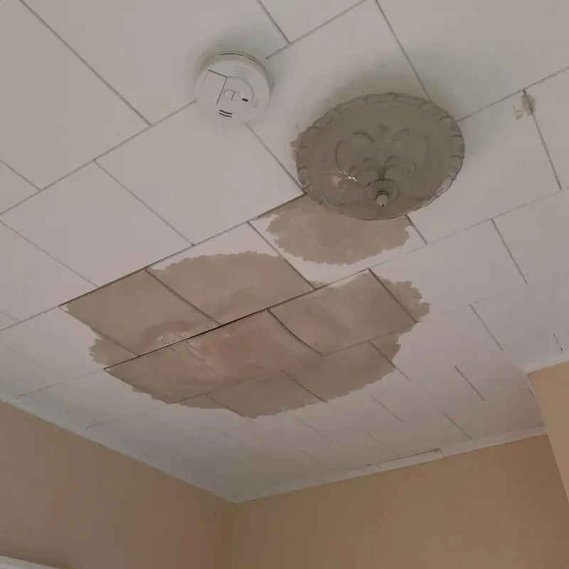 Ceiling Water Damage Repair in Carlyle, IL
