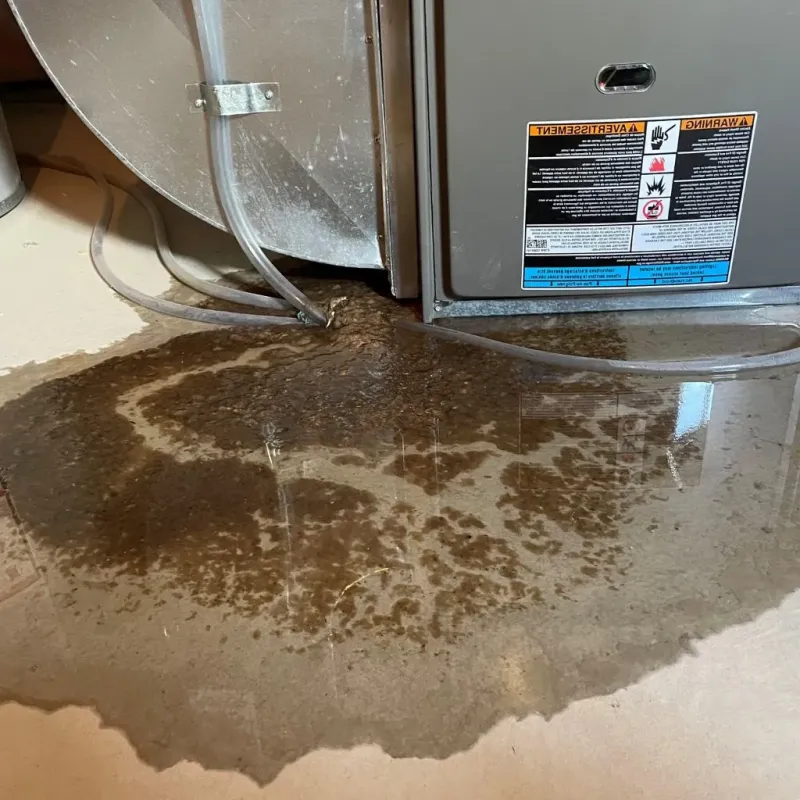 Pipe Burst and Leak Restoration in Carlyle, IL