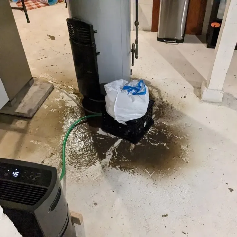 Sewage Backup Cleanup Service in Carlyle, IL